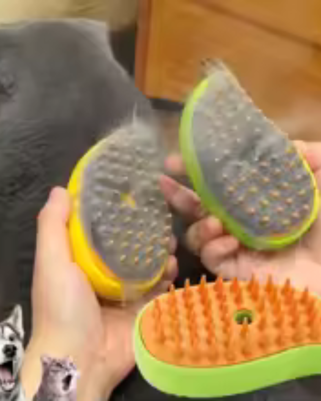 CEPILLO A VAPOR 3 EN 1 PARA MASCOTAS